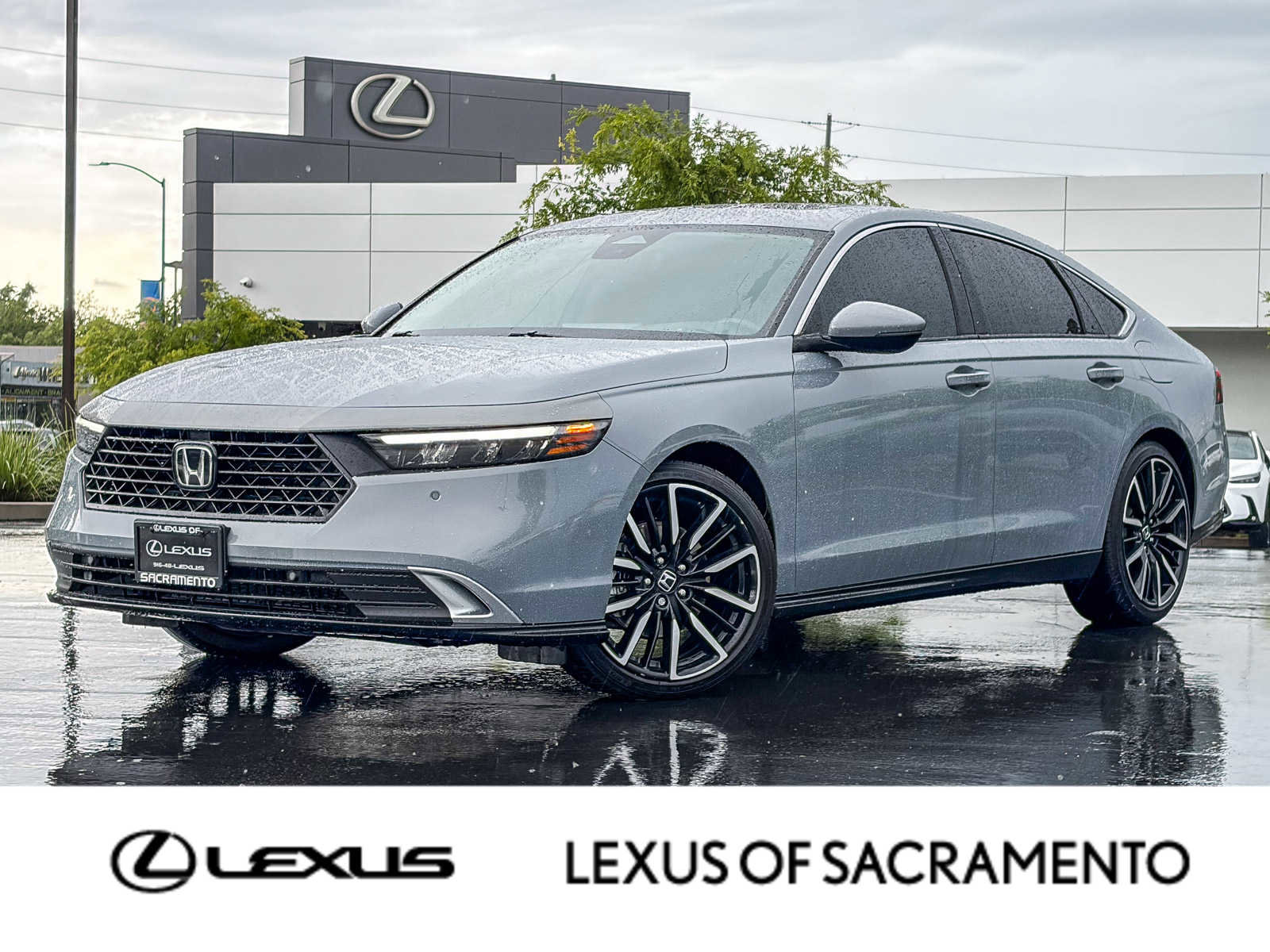 Used 2024 Honda Accord Touring