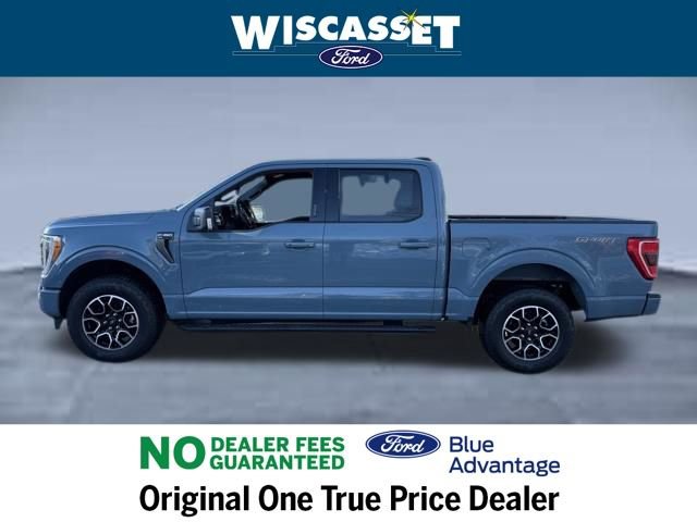 Used 2023 Ford F150 XLT w/ Equipment Group 302A High image 2