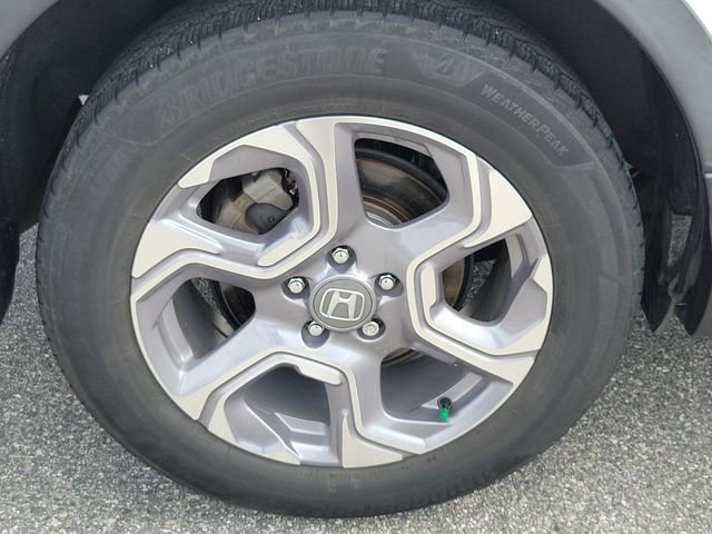 Used 2019 Honda CR-V EX-L image 5