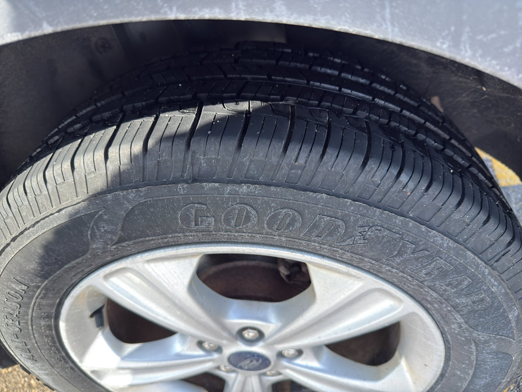 Used 2014 Ford Escape SE w/ Equipment Group 201A image 5