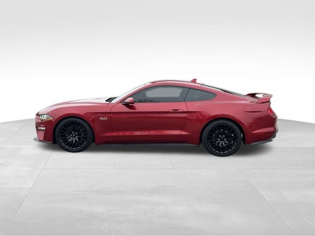 Used 2021 Ford Mustang GT w/ GT Performance Package image 2