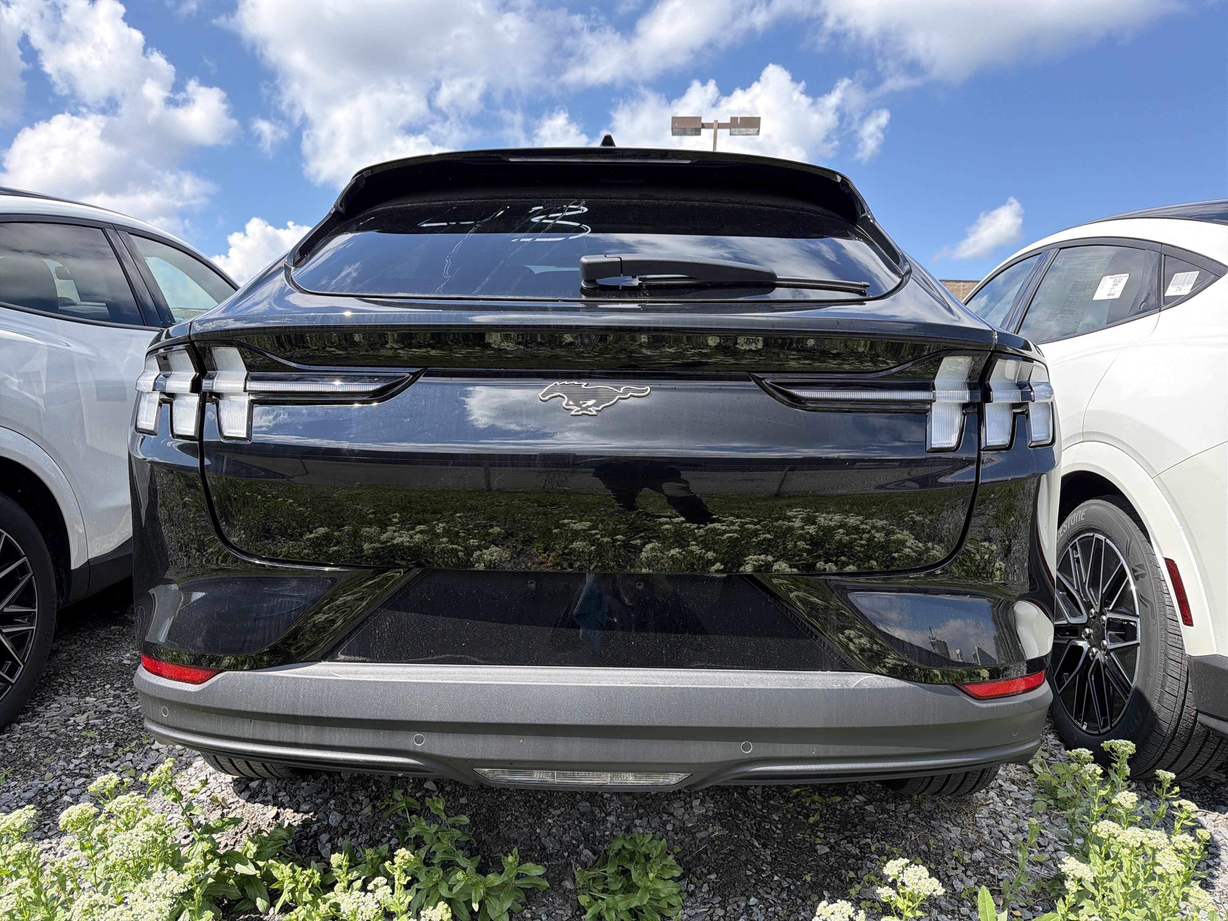 New 2026 Ford Mustang Mach-E Premium AWD/4WD image 5
