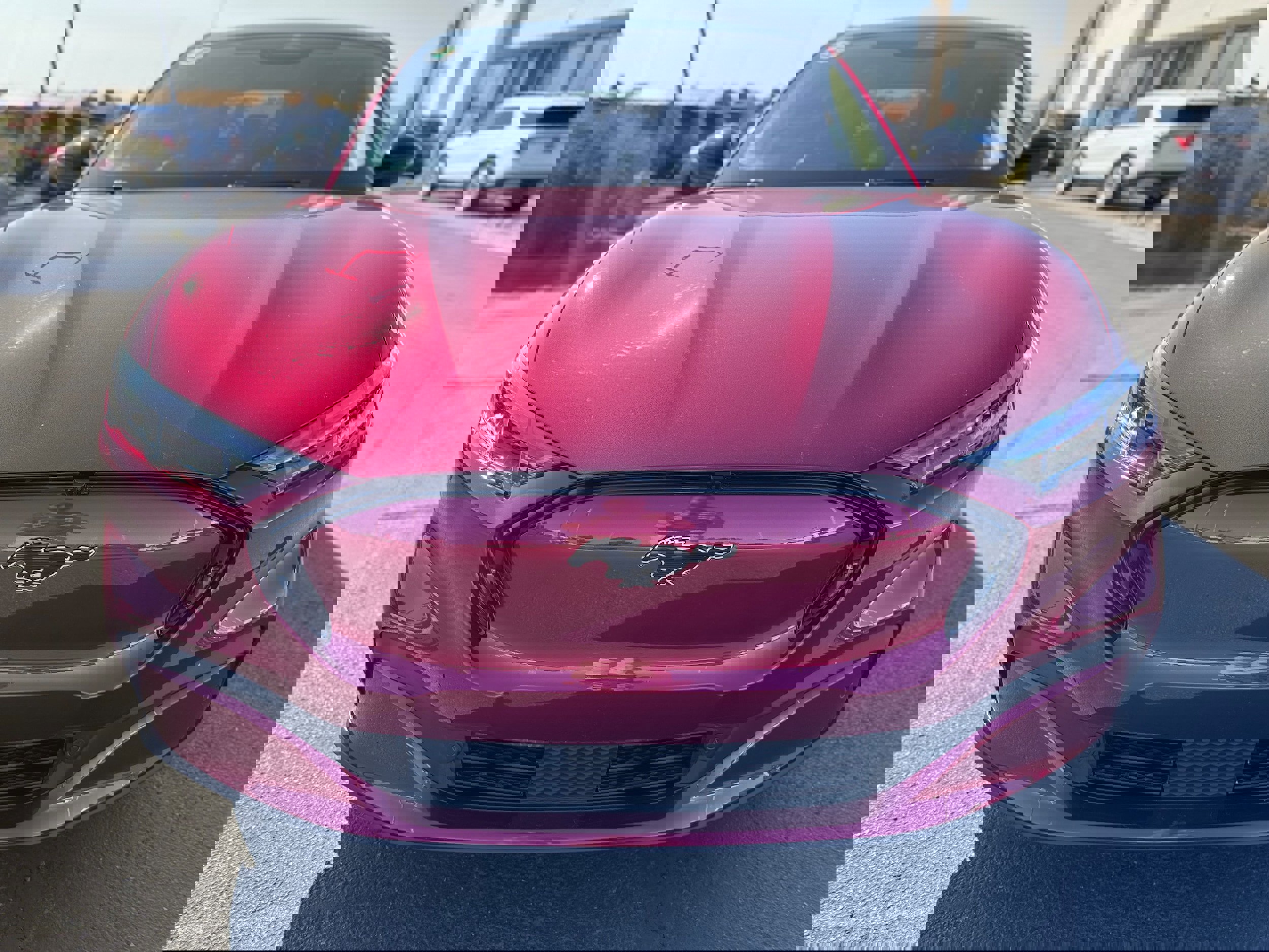 New 2025 Ford Mustang Mach-E Premium w/ Interior Protection Package image 9