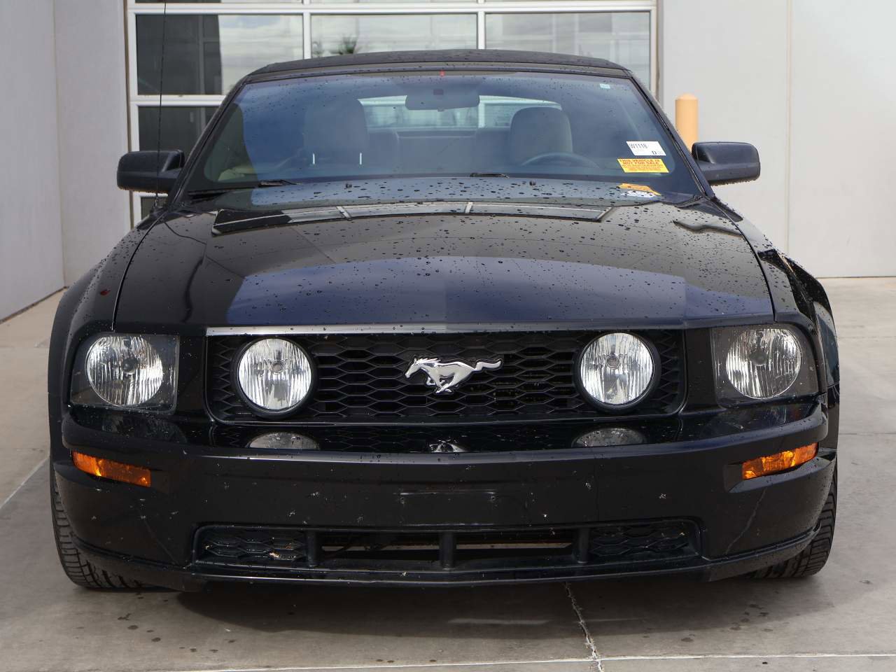 Used 2005 Ford Mustang GT Premium image 5
