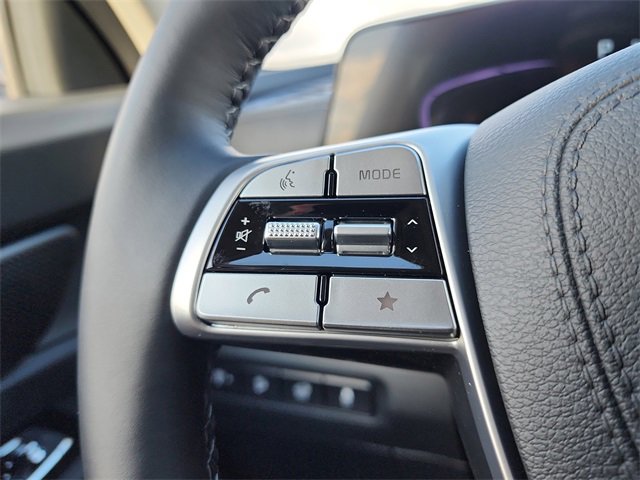 New 2025 Kia Telluride EX image 26