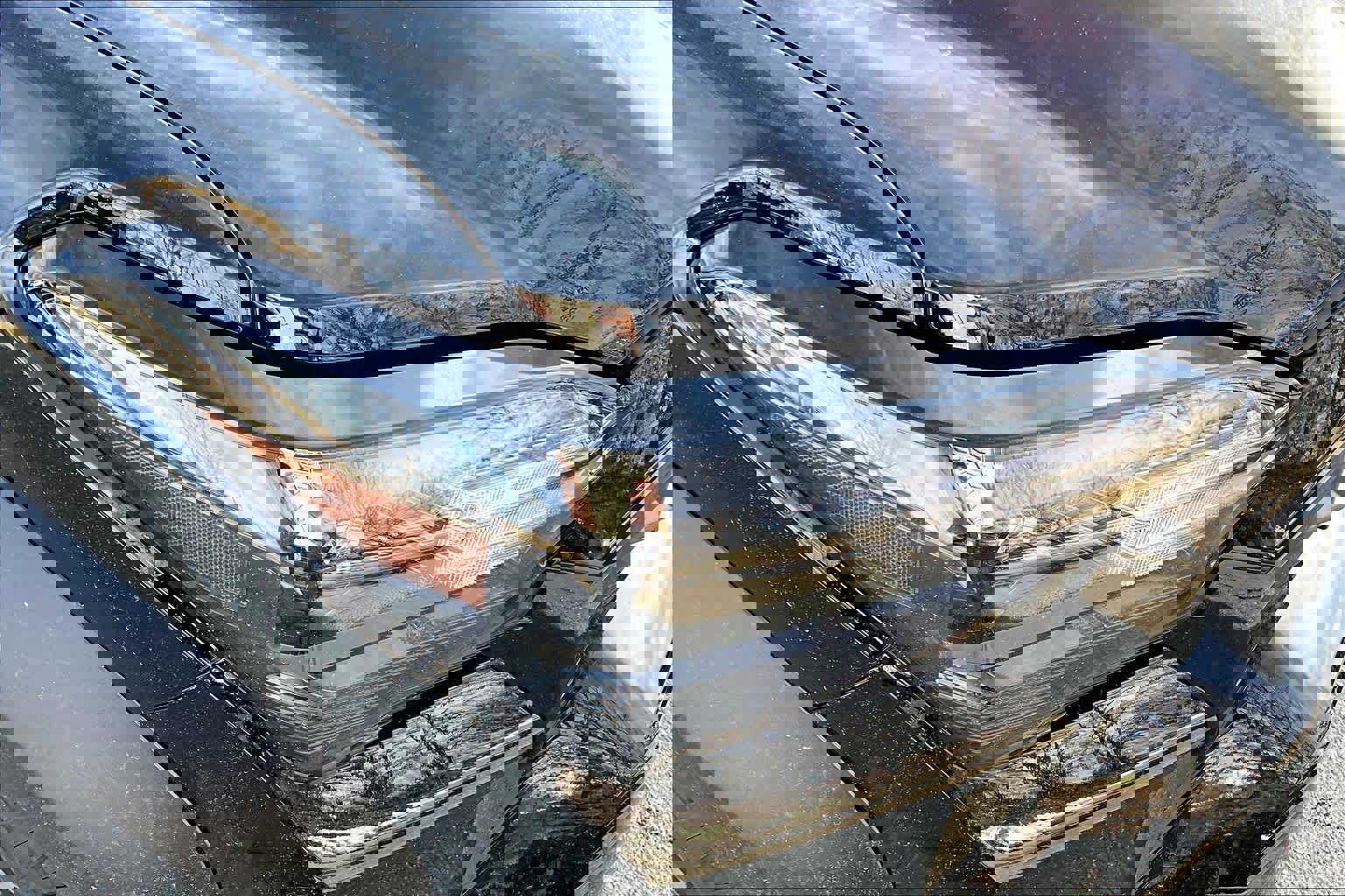 New 2026 Toyota 4Runner TRD Off-Road image 13