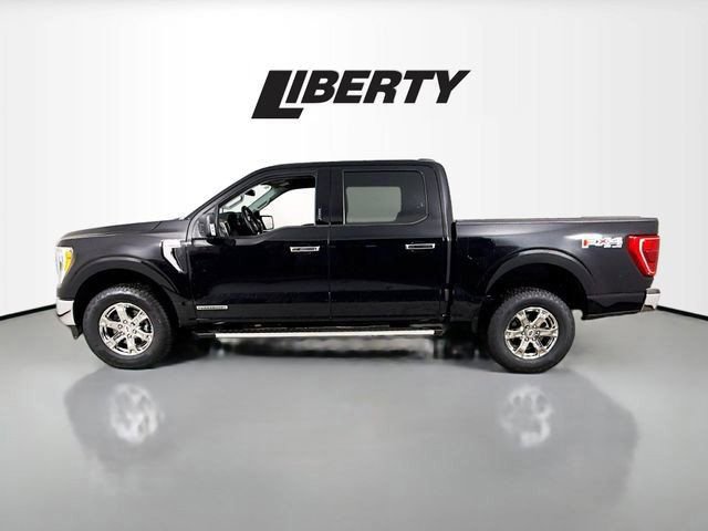 Used 2023 Ford F150 XLT w/ Equipment Group 302A High image 4