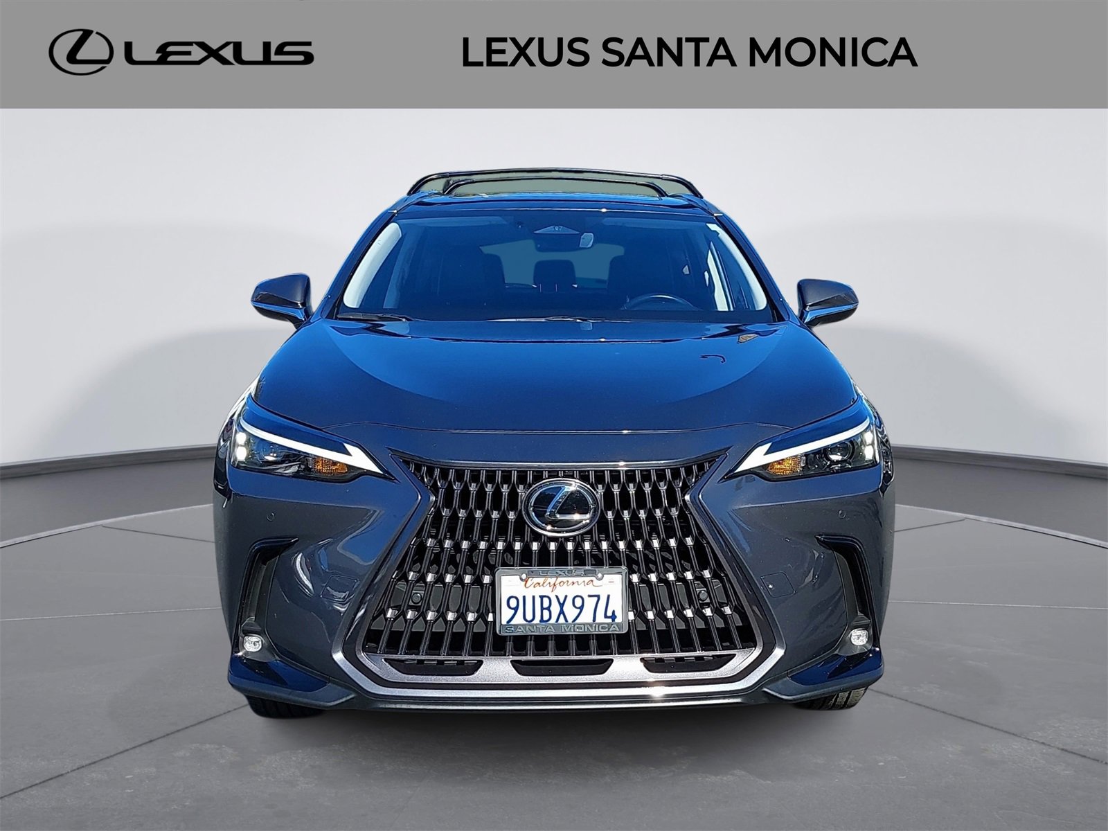 Used 2025 Lexus NX 350h AWD w/ Premium Package image 2