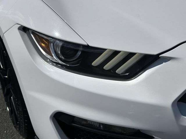 Used 2017 Ford Mustang Shelby GT350 RWD image 9