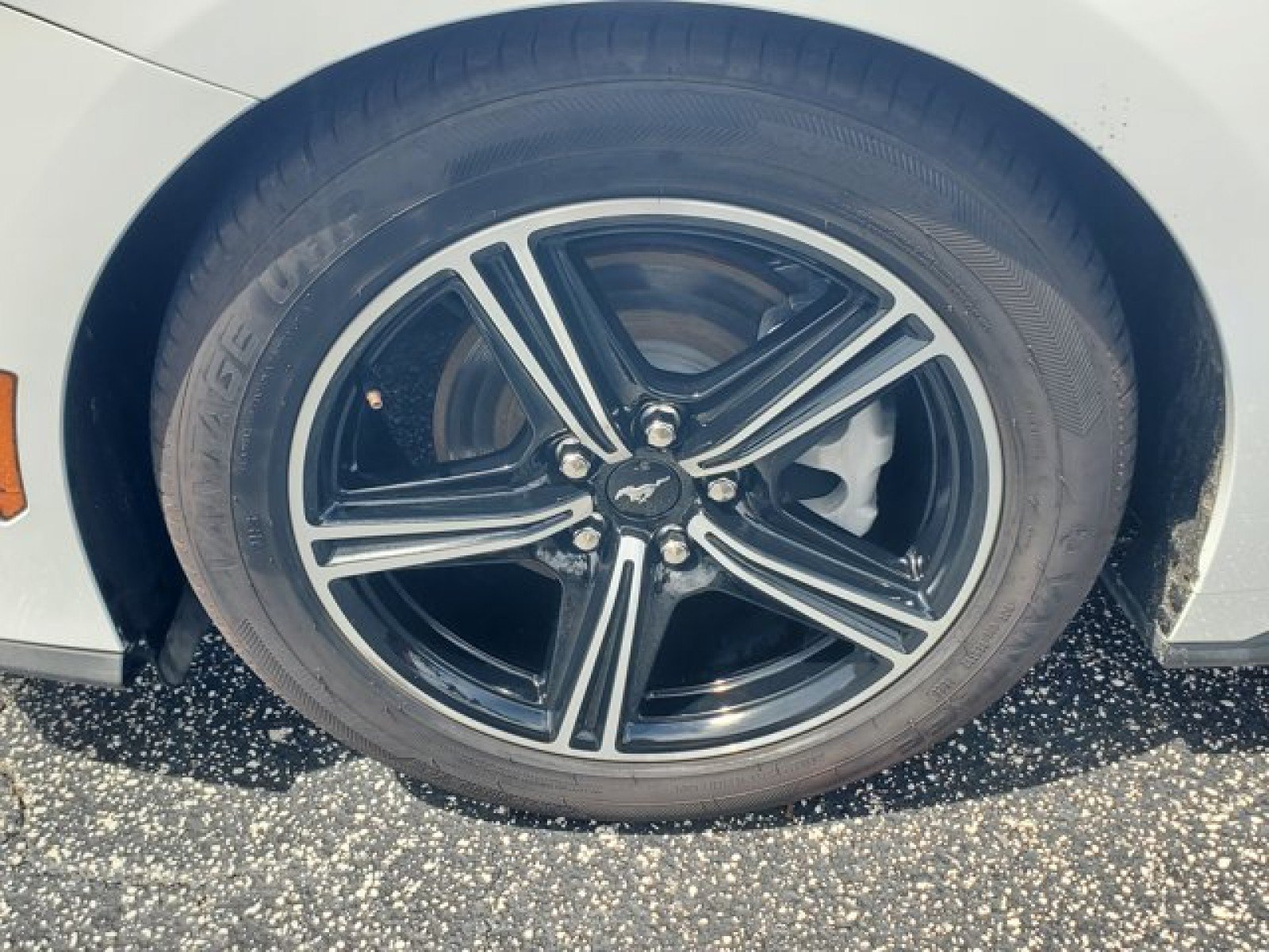 Used 2024 Ford Mustang Premium RWD image 4