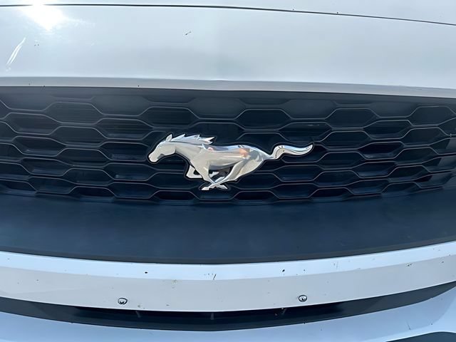 Used 2018 Ford Mustang Premium w/ Equipment Group 201A RWD image 9