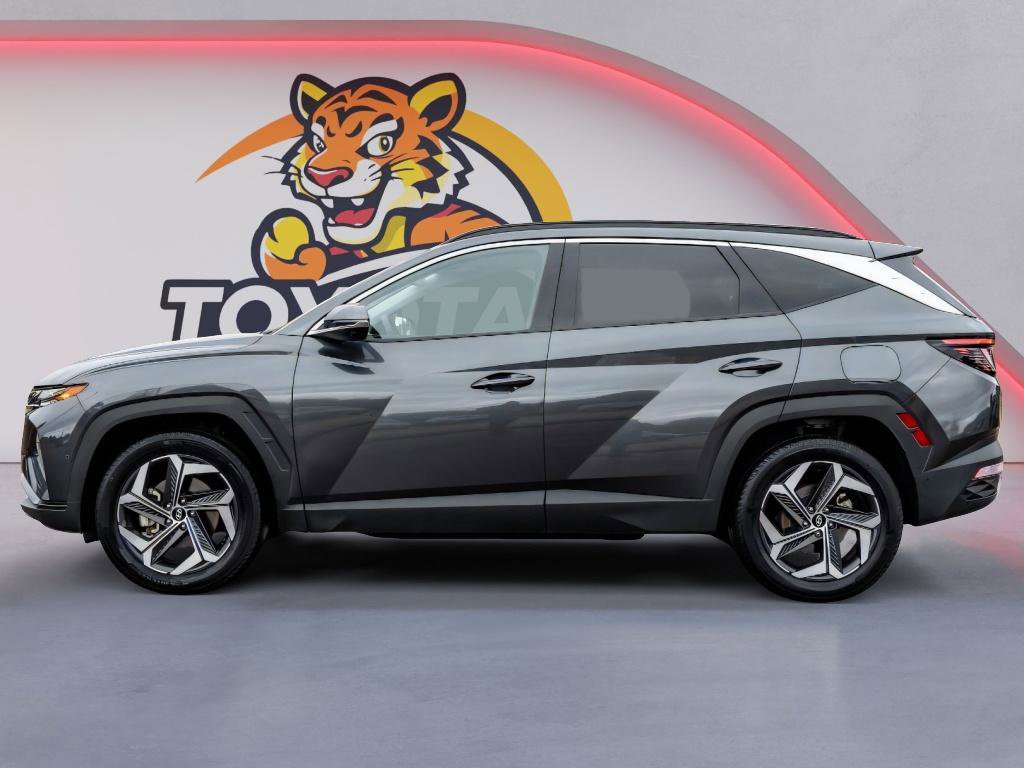 Used 2024 Hyundai Tucson Limited image 8