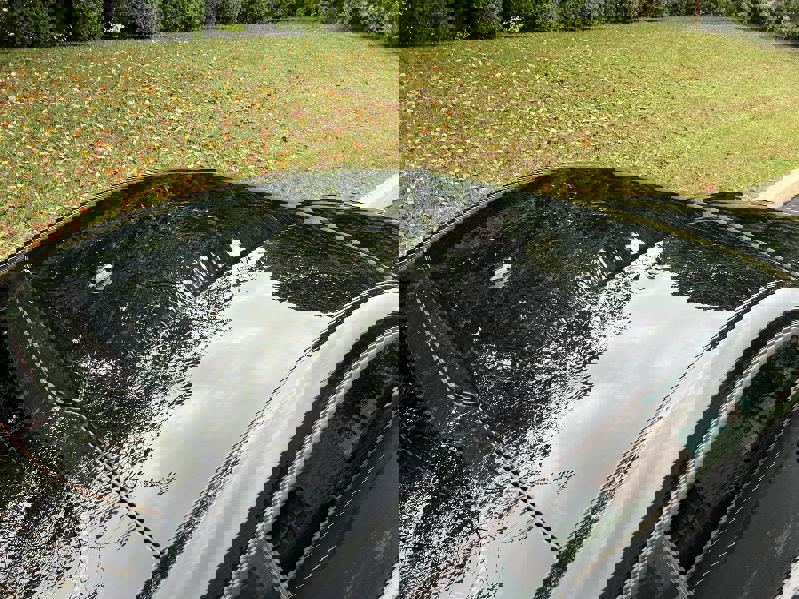 Used 2019 Ford Mustang GT Premium w/ Enhanced Security Package image 60