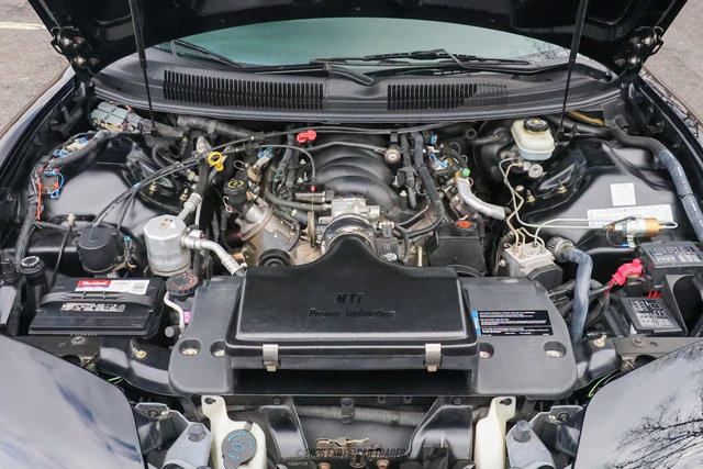 Used 2001 Pontiac Firebird Trans Am image 16