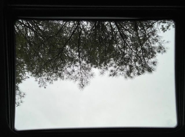 Used 2021 BMW 330i 330i w/ M Sport Package image 24