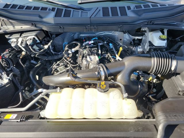 Used 2025 Ford F150 XLT w/ Equipment Group 302A MID image 26