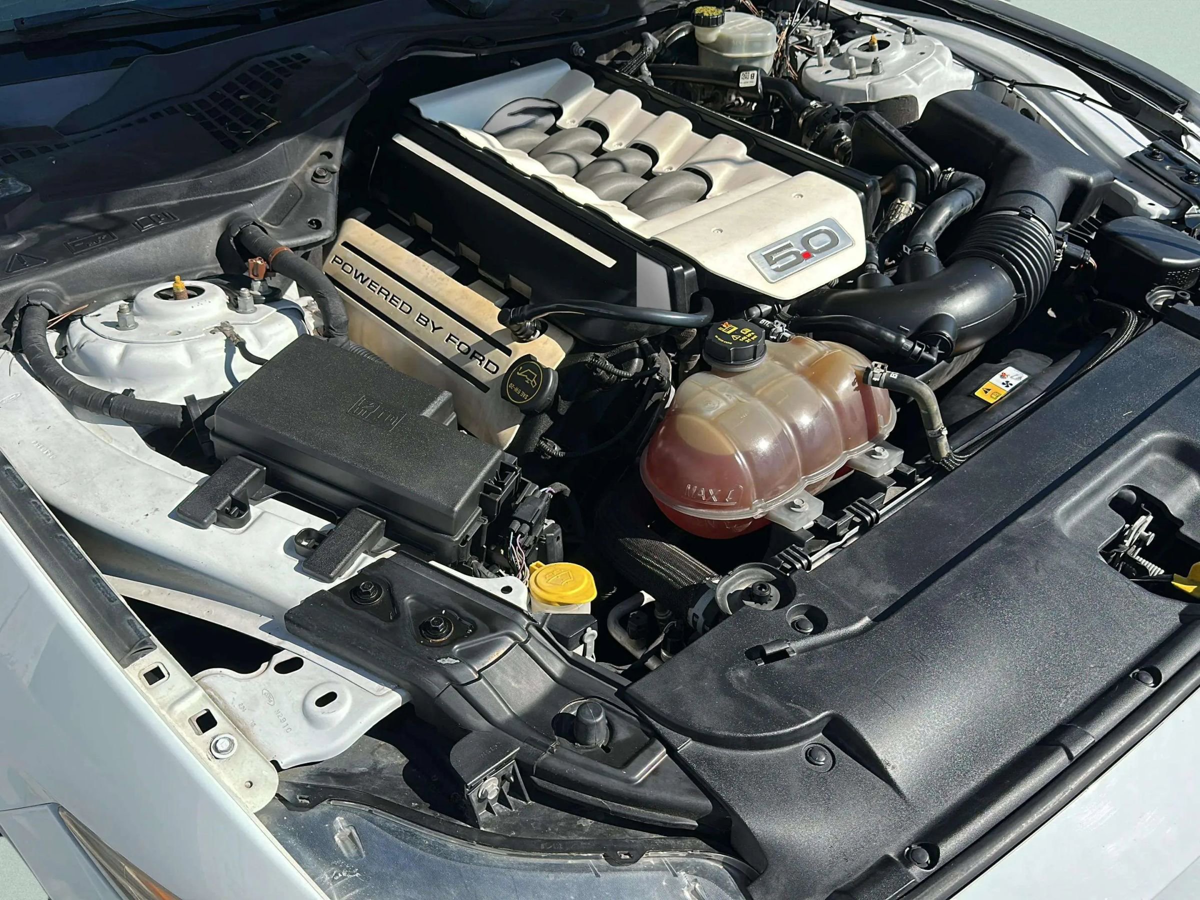 Used 2016 Ford Mustang GT image 29