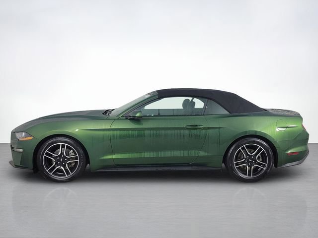 Certified 2023 Ford Mustang Premium image 6
