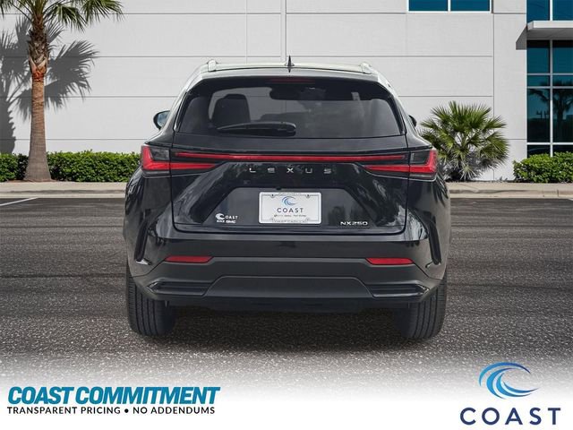 Used 2024 Lexus NX 250 FWD image 7