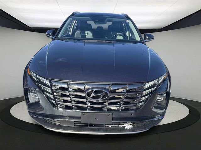 Certified 2024 Hyundai Tucson Limited image 11