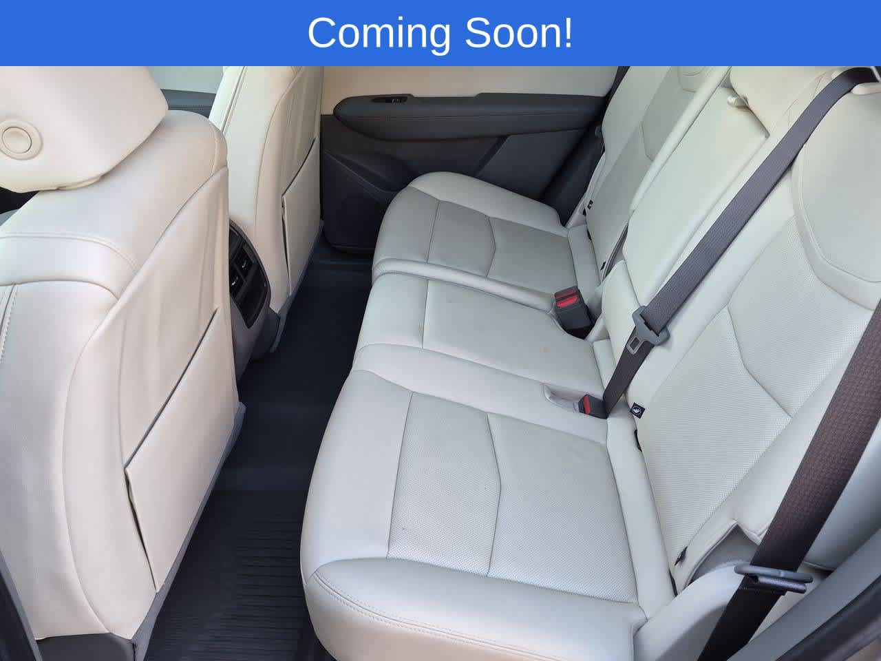 Used 2024 Cadillac XT5 Premium Luxury w/ LPO, Floor Liner Package AWD/4WD image 20
