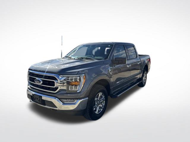 Used 2023 Ford F150 XLT w/ Equipment Group 302A High AWD/4WD image 8
