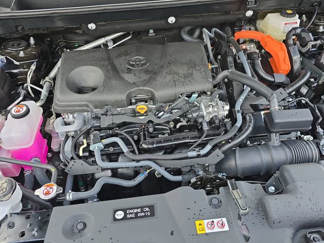 Used 2025 Toyota RAV4 LE image 29
