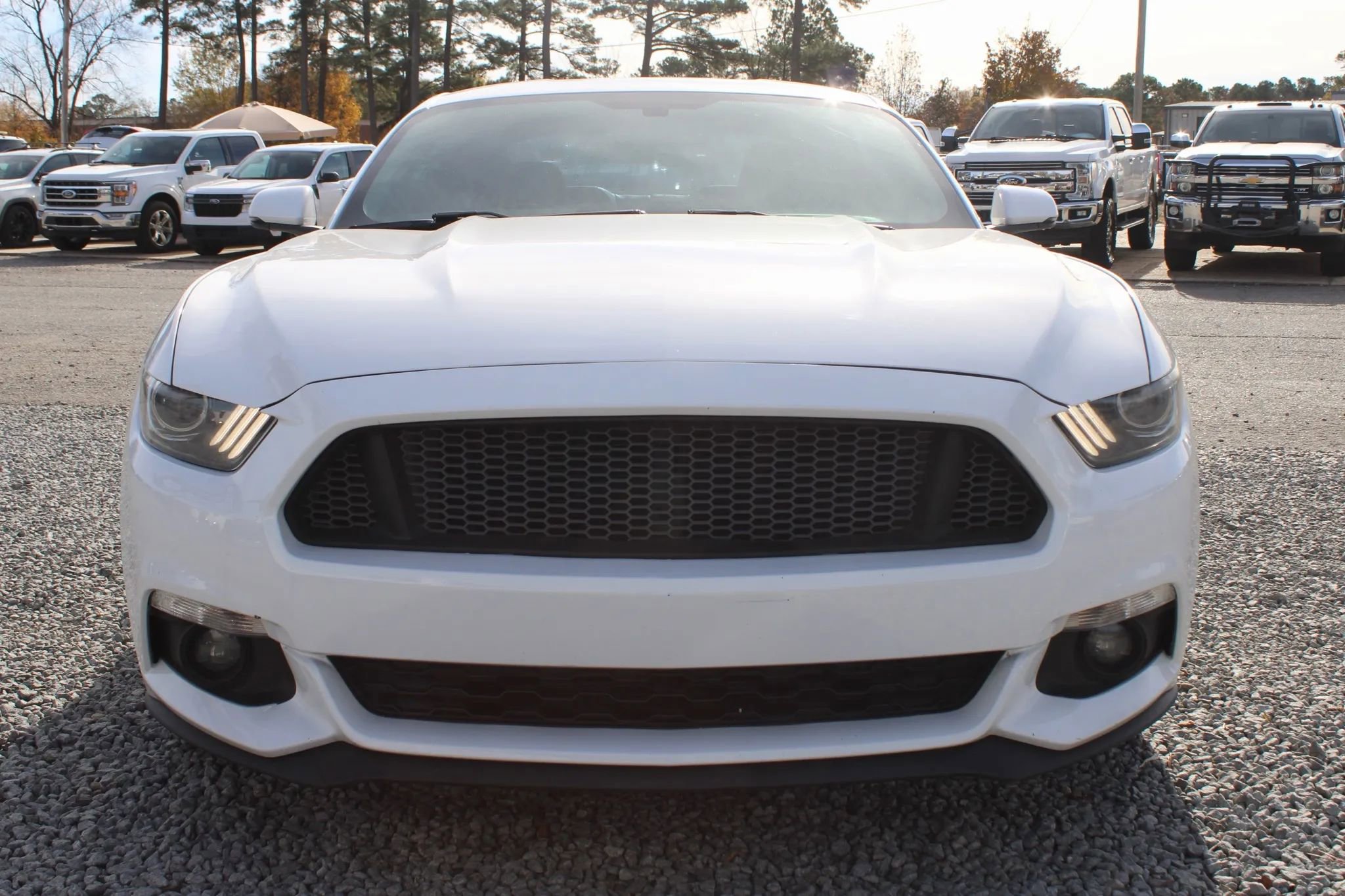 Used 2017 Ford Mustang Premium image 5