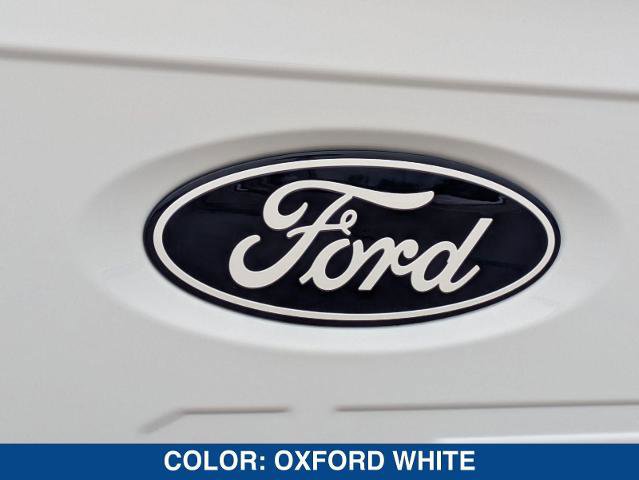 New 2025 Ford F150 XLT w/ Equipment Group 303A High image 53