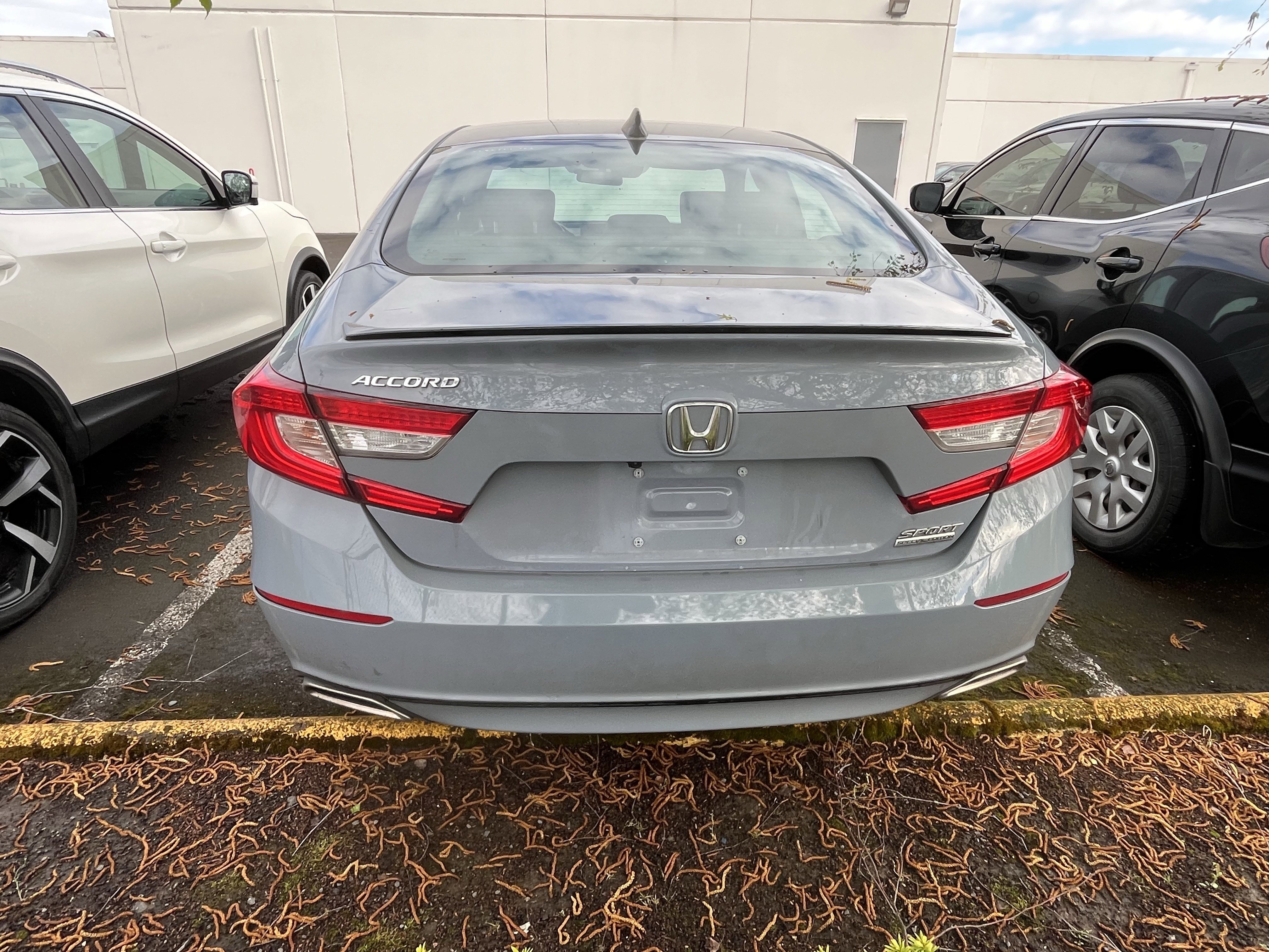 Used 2021 Honda Accord Sport Special Edition image 3