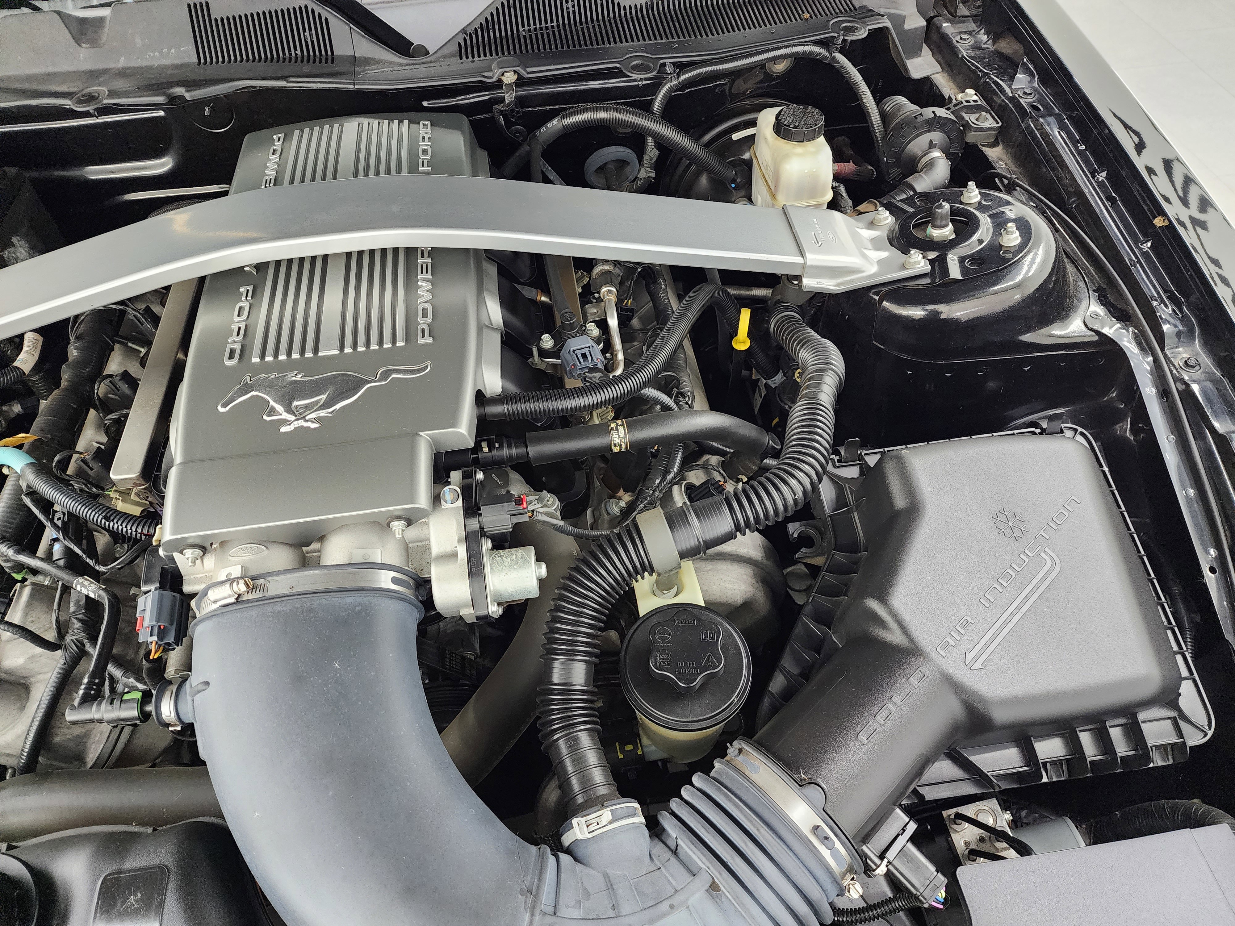 Used 2010 Ford Mustang GT Premium image 16