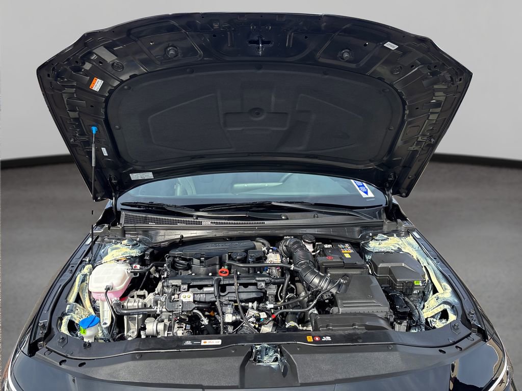 Used 2025 Hyundai Elantra N Line image 13