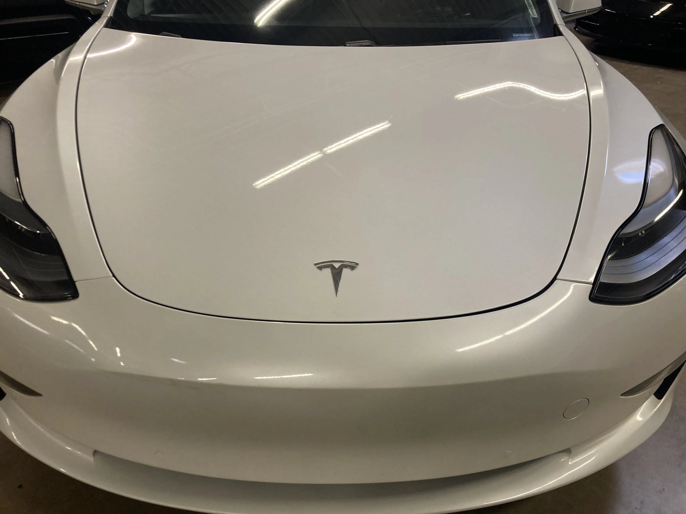 Used 2019 Tesla Model 3 Standard Range RWD image 10