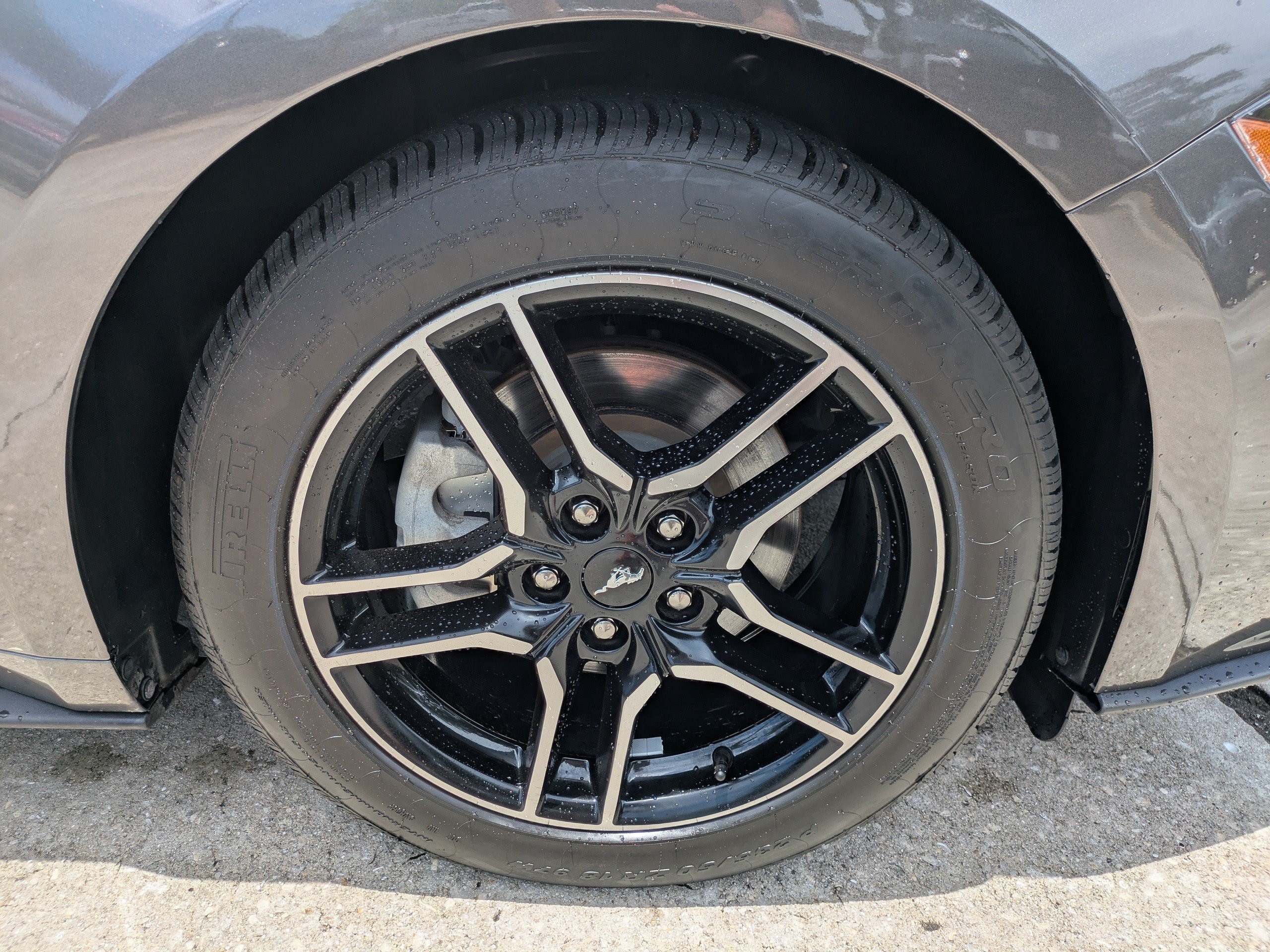 Certified 2020 Ford Mustang Premium w/ Equipment Group 201A RWD image 11