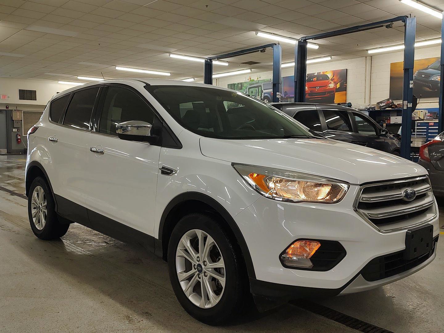 Used 2019 Ford Escape SE image 4