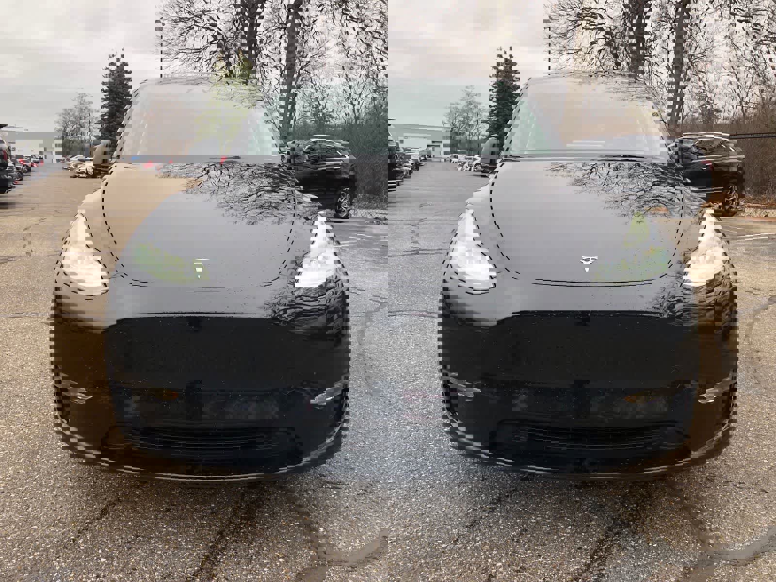 Used 2023 Tesla Model Y Long Range image 2