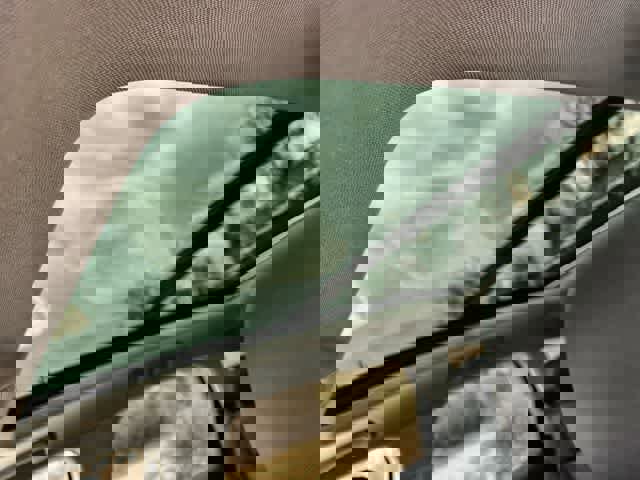 Used 2023 Audi Q7 2.0T Premium w/ Convenience Package image 32