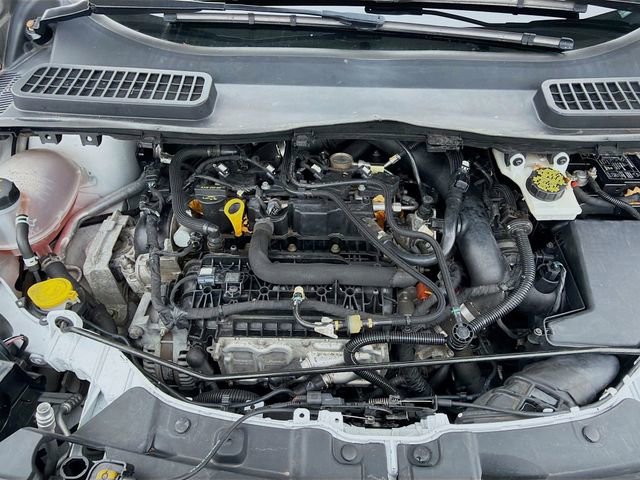 Used 2019 Ford Escape SE image 29