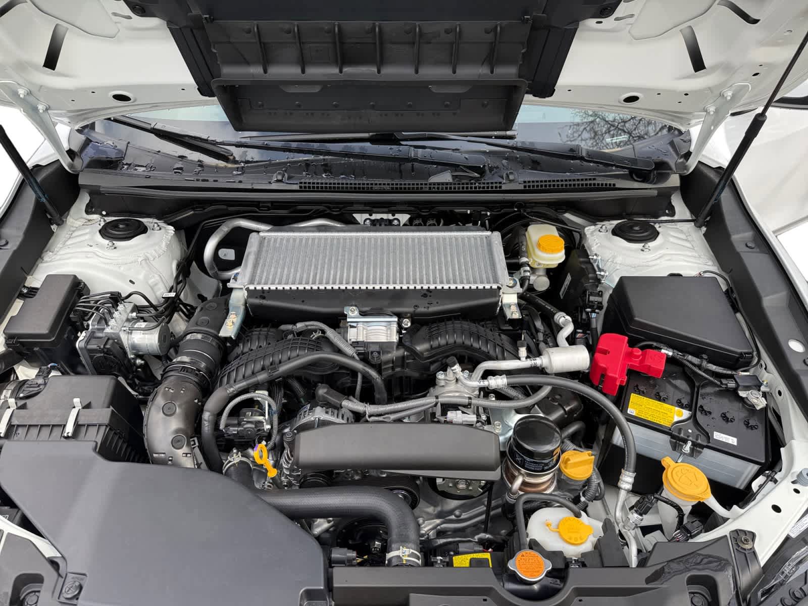 New 2026 Subaru WRX Limited AWD/4WD image 24
