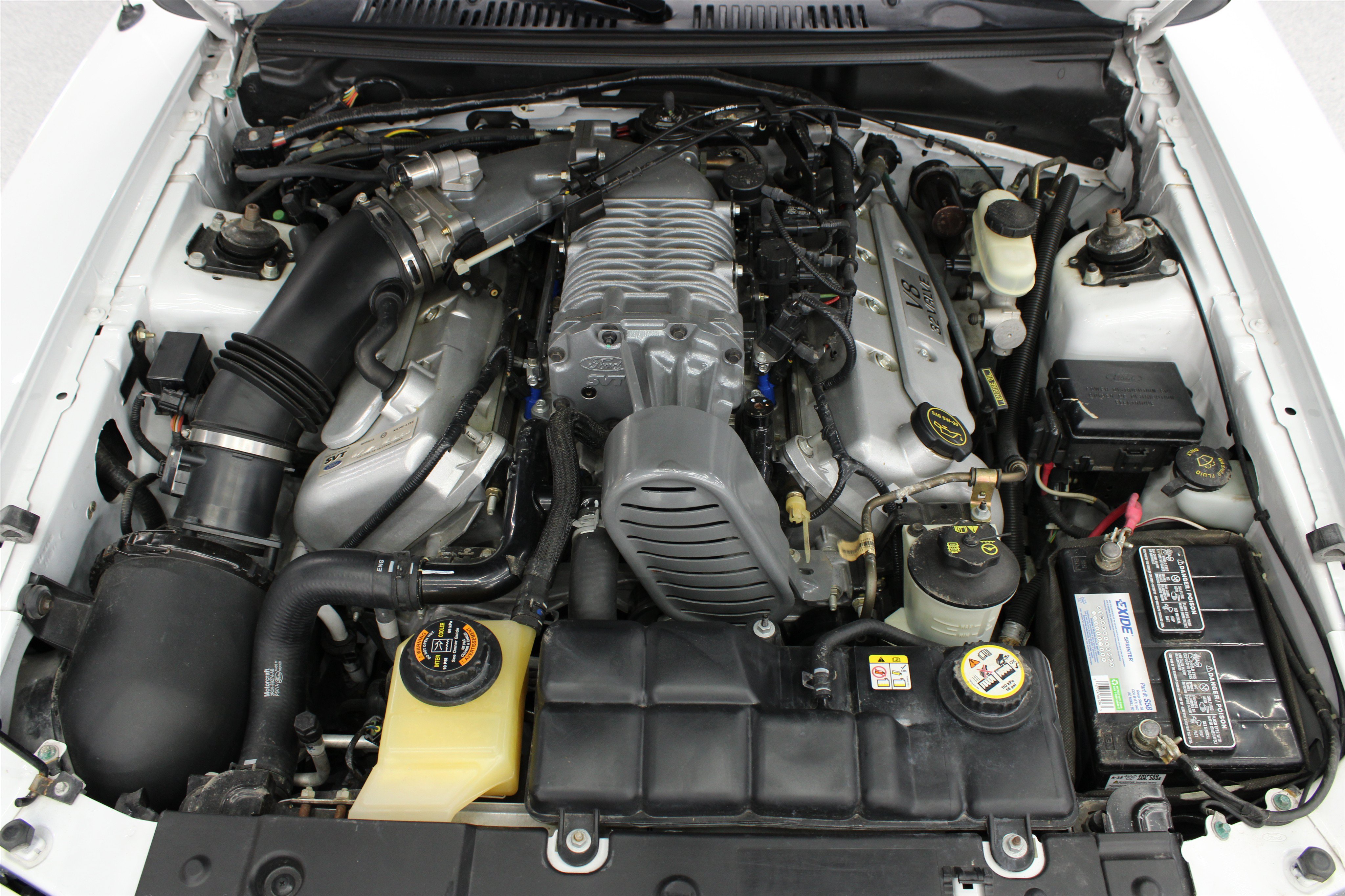Used 2004 Ford Mustang Cobra RWD image 29