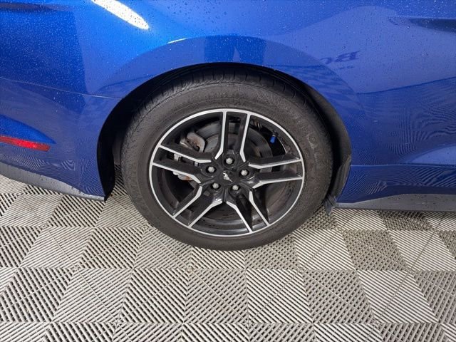 Used 2018 Ford Mustang Premium w/ Equipment Group 201A RWD image 19