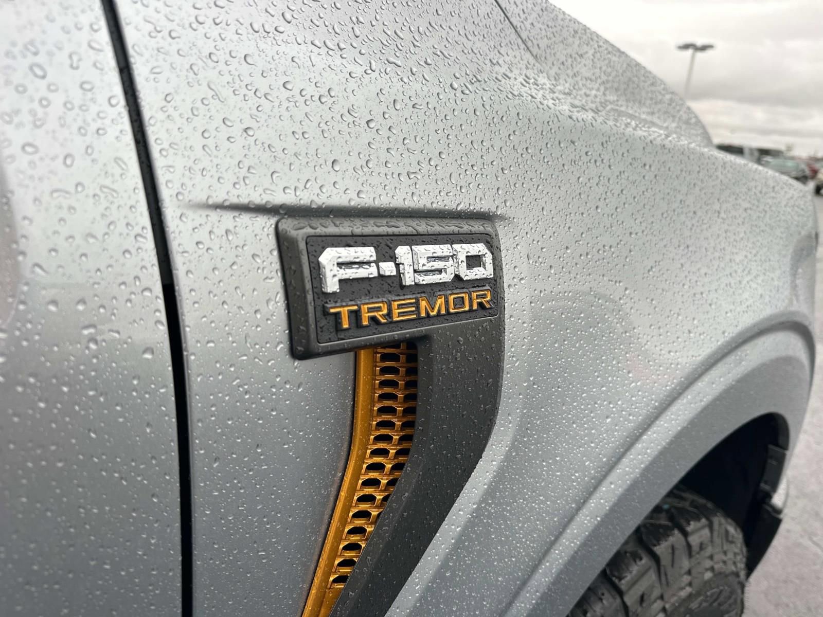 New 2025 Ford F150 Tremor w/ Equipment Group 402A High image 39