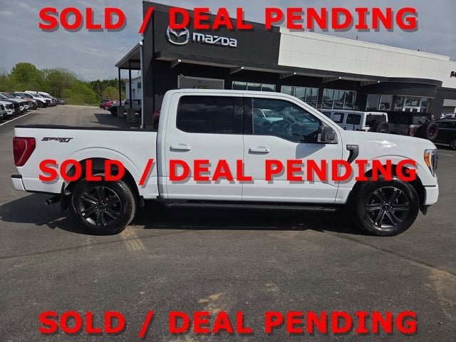 Used 2023 Ford F150 XLT w/ Equipment Group 302A High AWD/4WD image 6