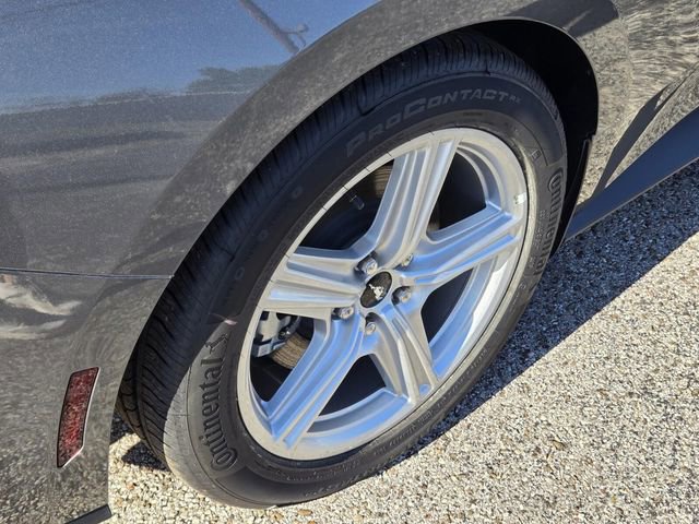 New 2026 Ford Mustang Coupe image 5