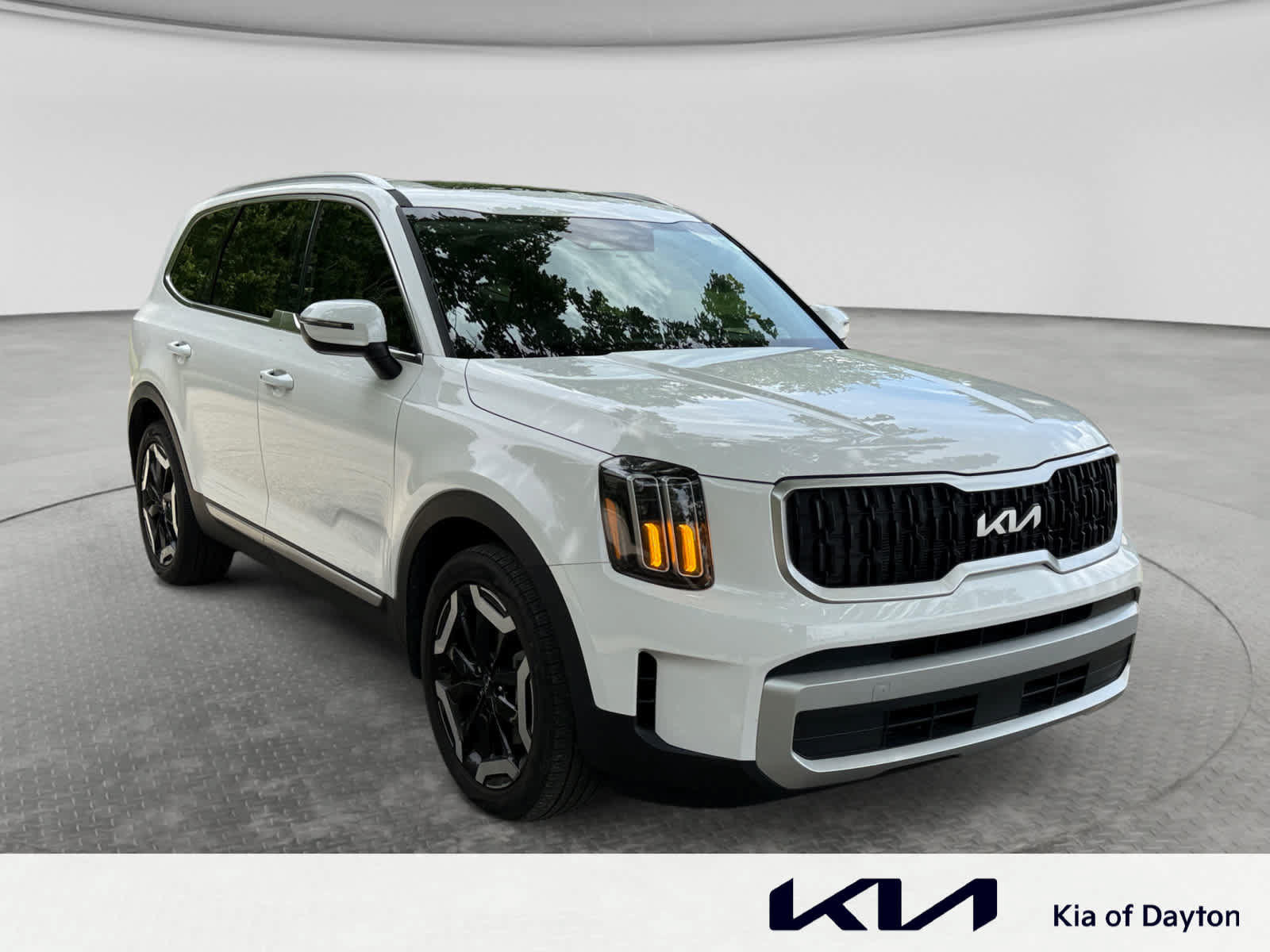 Used 2025 Kia Telluride EX FWD image 3