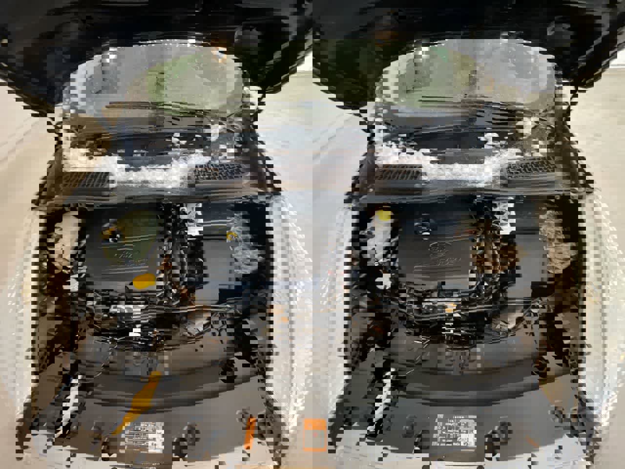 Used 2017 Ford Escape SE image 24