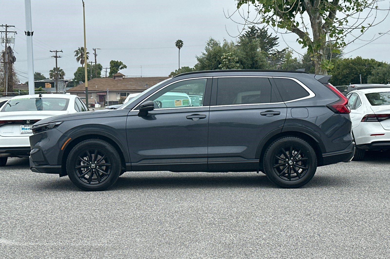 Used 2025 Honda CR-V Sport image 2