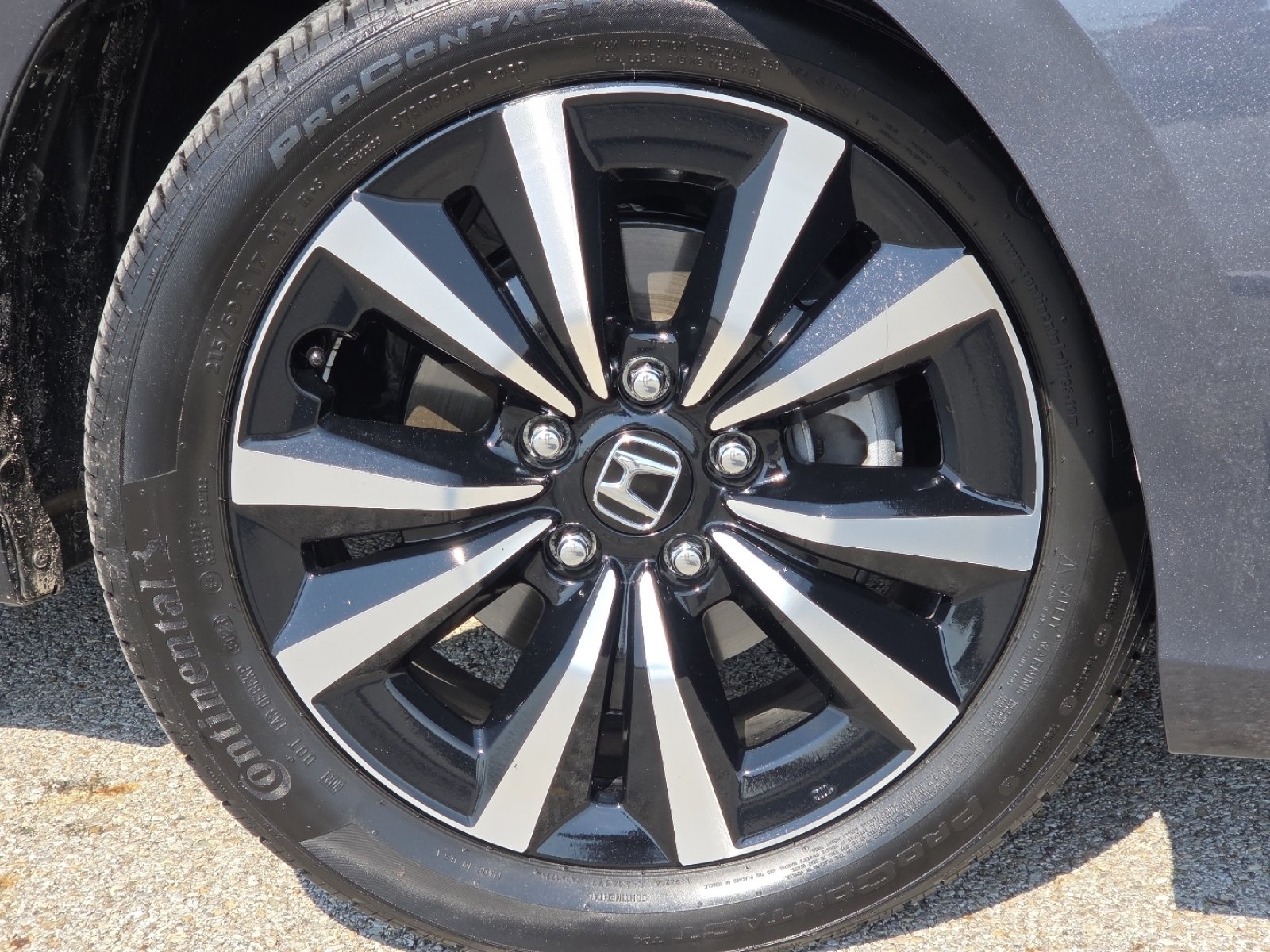 Used 2024 Honda Civic EX-L image 10