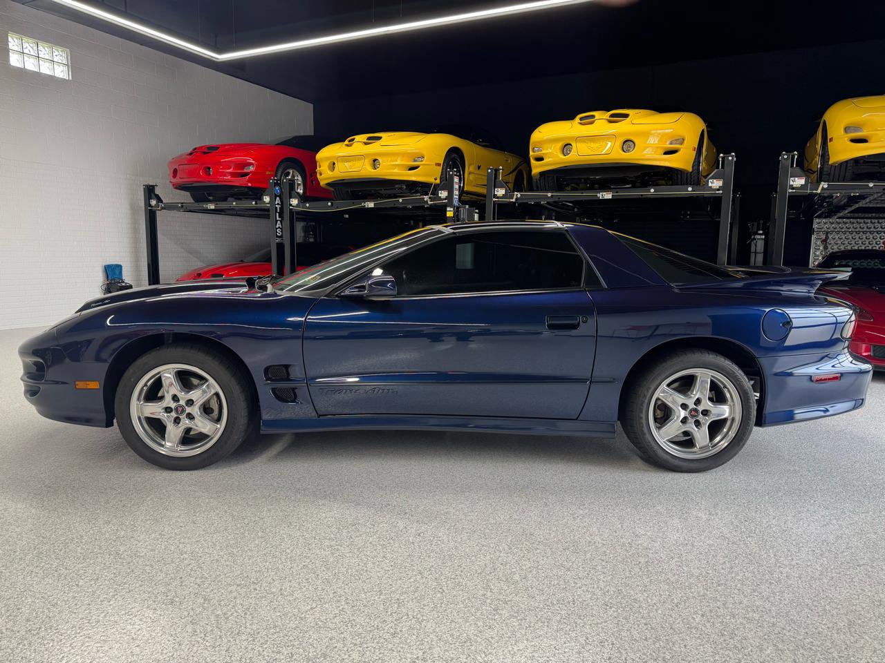 Used 2002 Pontiac Firebird Trans Am RWD image 3