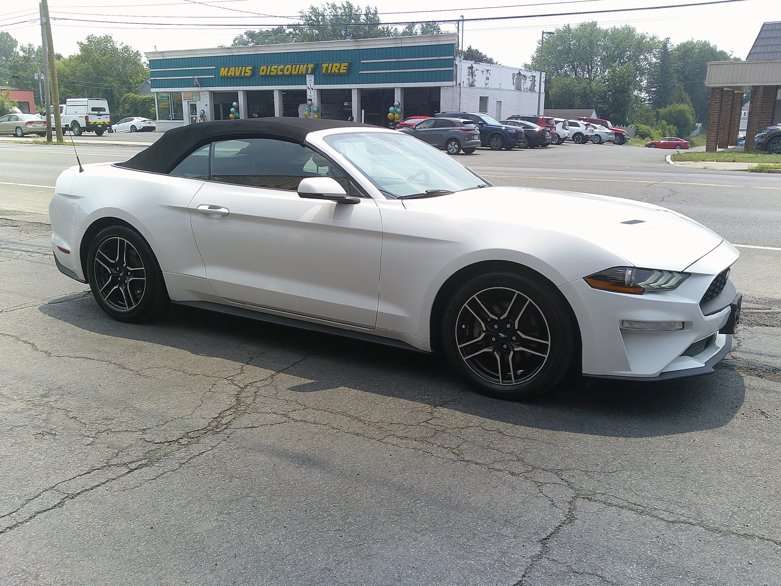 Used 2019 Ford Mustang Premium RWD image 11